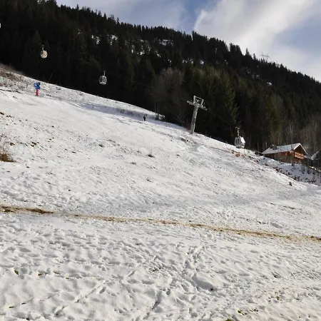 Confortable, Coeur De Chatel, Pres Des Telecabines - Fr-1-693-69