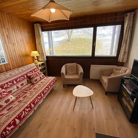 公寓 Confortable, Coeur De Chatel, Pres Des Telecabines - Fr-1-693-69 沙泰勒